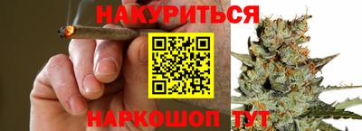 индика Моздок