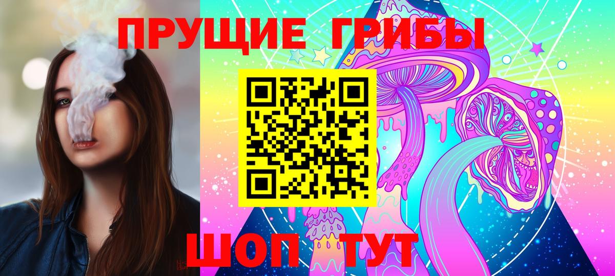 Северобайкальск  Псилоцибиновые грибы мицелий  Вход с VPN 