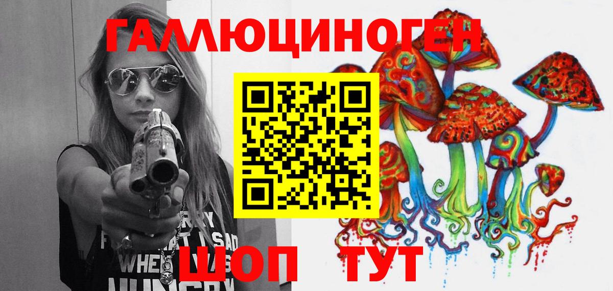 Псилоцибиновые грибы Psilocybe Северобайкальск