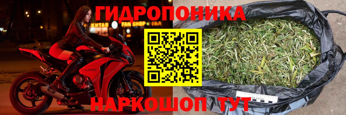 Марихуана план  Вход с VPN  Северобайкальск  Канабис VHQ  Бошки Шишки MAZAR 